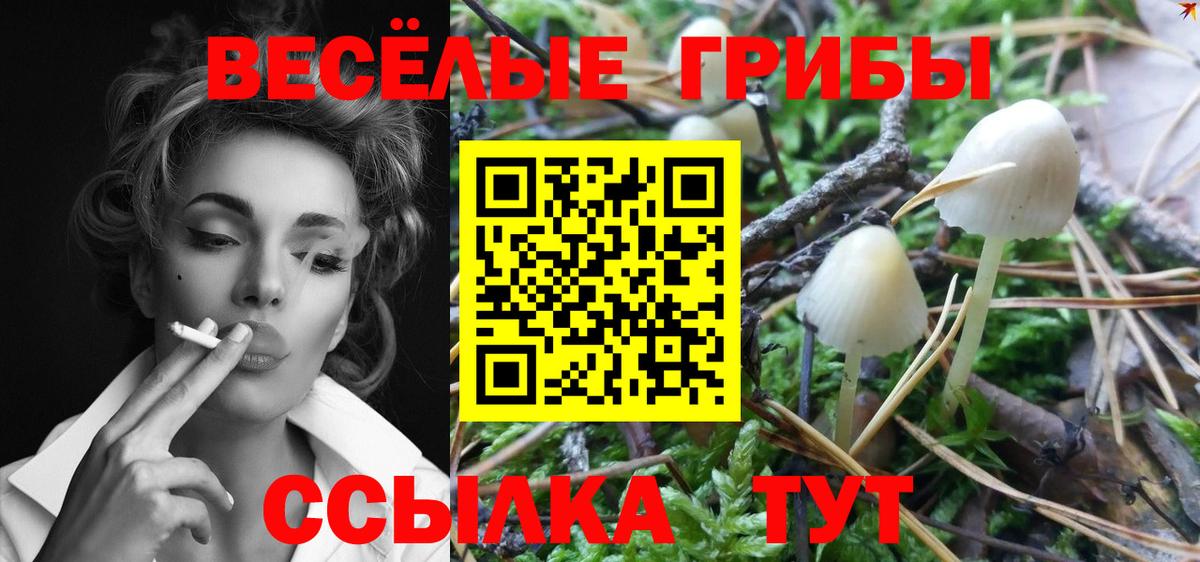 Галлюциногенные грибы ЛСД Дубна
