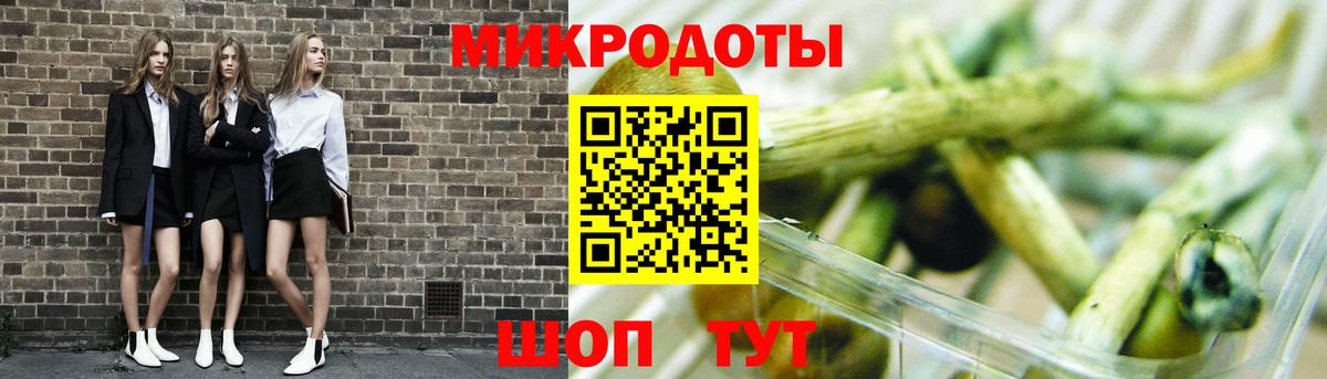 Галлюциногенные грибы Psilocybine cubensis  Вход с VPN  Дубна 